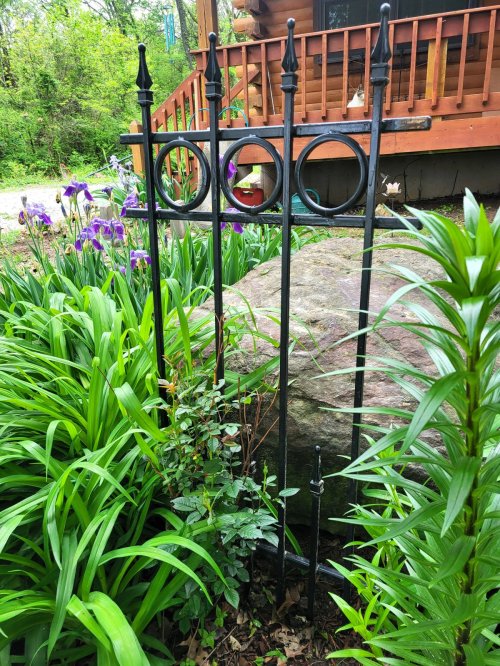 Yard/Garden Trellis: with Rings and Sub-Pickets