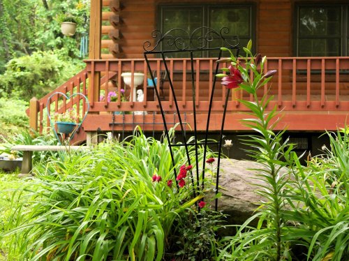 Garden Trellis with Scroll Design
